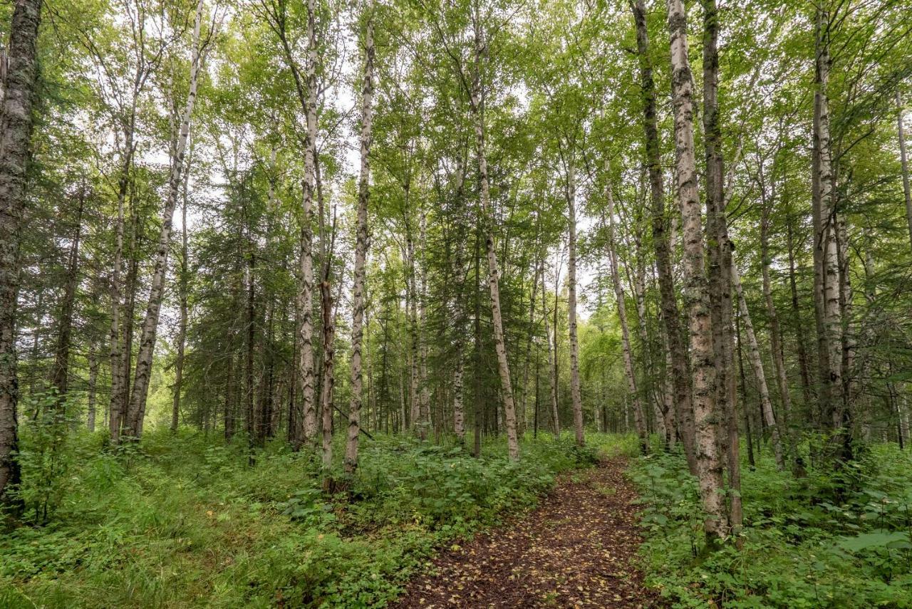 Meier Lake Resort Wasilla Zewnętrze zdjęcie